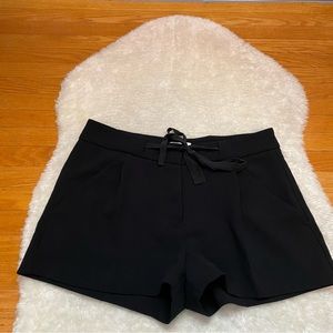 Aritzia Black Wilfred Exergue Shorts